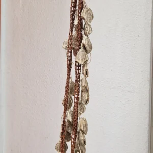 Sacha Seeds from Amazon Jungle