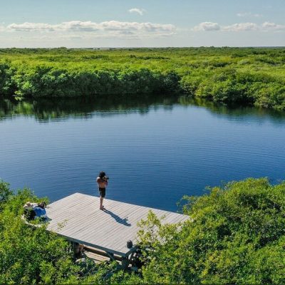 A group sound healing retreat on a wooden deck in a lush forest garden led by Miraclevie practitioners with crystal bowls